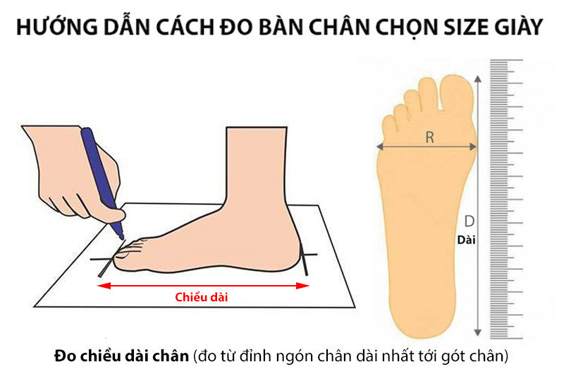 Cách đo size giày - Bước 2