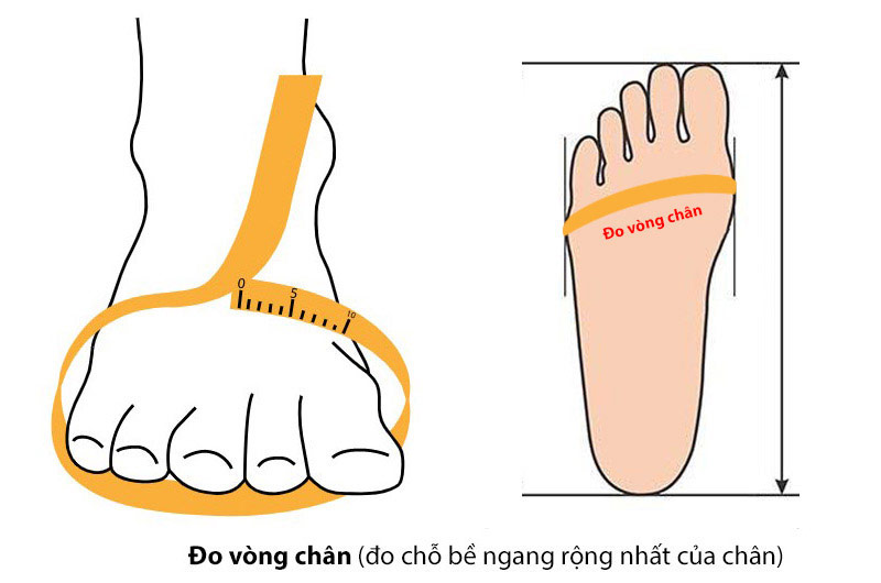 Cách đo size giày - Bước 3