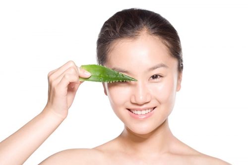 Đắp mặt nạ nha đam trị mụn cho da nhờn