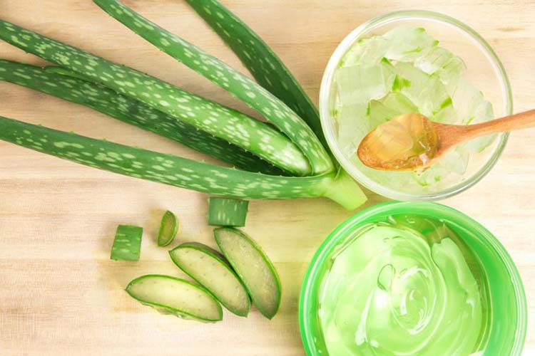 Trị mụn bằng nha đam